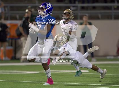 Thumbnail 1 in Birdville @ Midlothian photogallery.