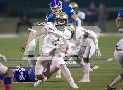 Thumbnail 1 in Birdville @ Midlothian photogallery.