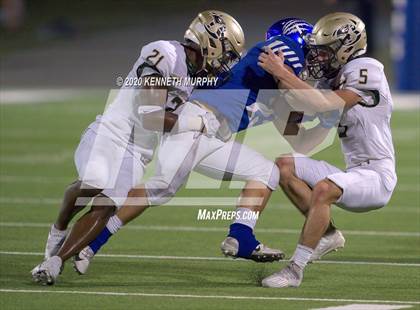 Thumbnail 3 in Birdville @ Midlothian photogallery.