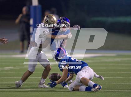 Thumbnail 1 in Birdville @ Midlothian photogallery.