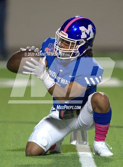 Thumbnail 2 in Birdville @ Midlothian photogallery.