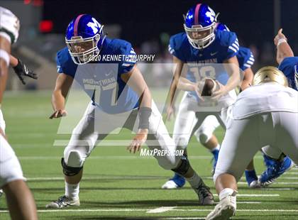 Thumbnail 1 in Birdville @ Midlothian photogallery.