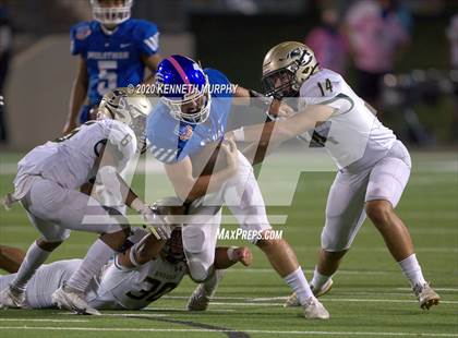 Thumbnail 2 in Birdville @ Midlothian photogallery.