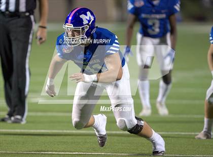 Thumbnail 1 in Birdville @ Midlothian photogallery.