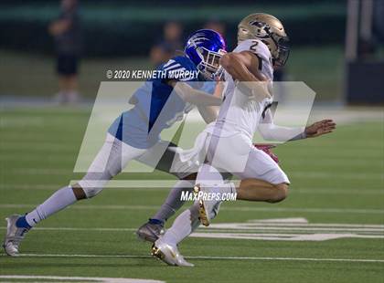 Thumbnail 1 in Birdville @ Midlothian photogallery.