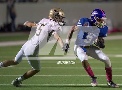Thumbnail 3 in Birdville @ Midlothian photogallery.