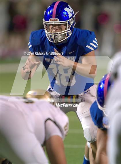 Thumbnail 2 in Birdville @ Midlothian photogallery.