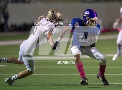 Thumbnail 1 in Birdville @ Midlothian photogallery.
