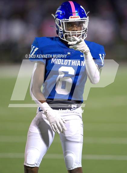 Thumbnail 3 in Birdville @ Midlothian photogallery.