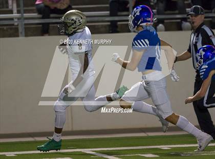 Thumbnail 3 in Birdville @ Midlothian photogallery.