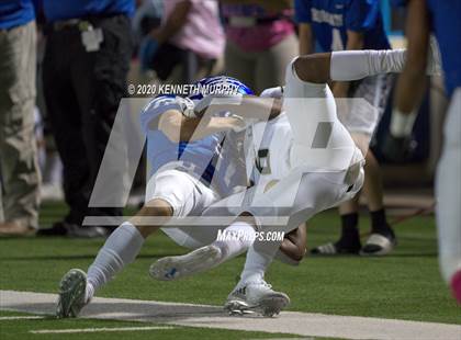 Thumbnail 3 in Birdville @ Midlothian photogallery.