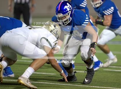 Thumbnail 2 in Birdville @ Midlothian photogallery.