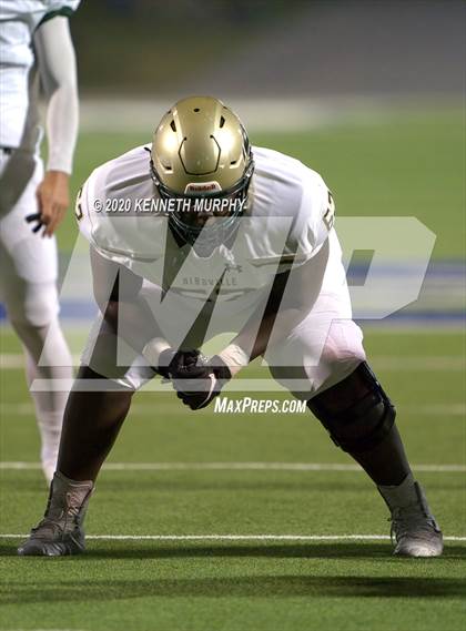 Thumbnail 2 in Birdville @ Midlothian photogallery.