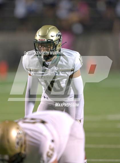Thumbnail 3 in Birdville @ Midlothian photogallery.