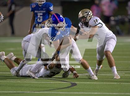 Thumbnail 3 in Birdville @ Midlothian photogallery.