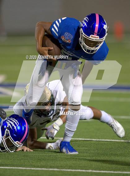 Thumbnail 3 in Birdville @ Midlothian photogallery.