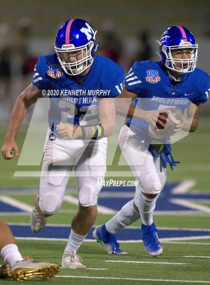 Thumbnail 3 in Birdville @ Midlothian photogallery.