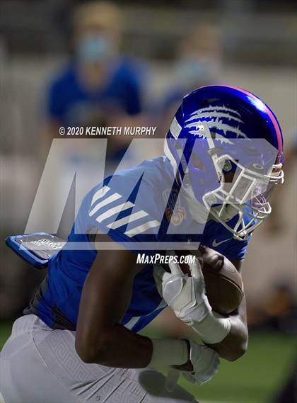 Thumbnail 1 in Birdville @ Midlothian photogallery.