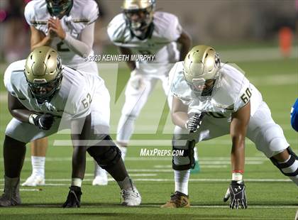 Thumbnail 3 in Birdville @ Midlothian photogallery.
