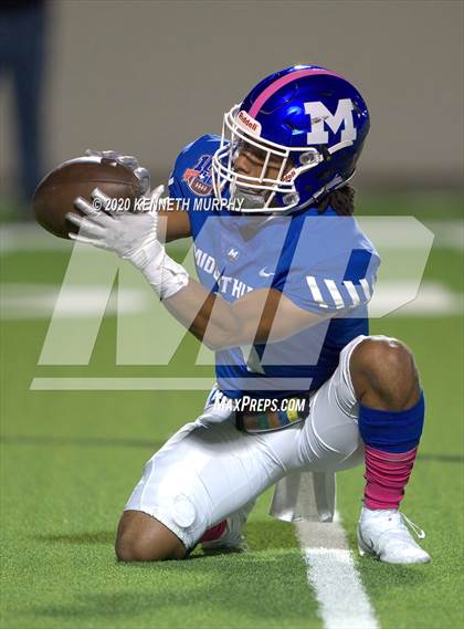 Thumbnail 1 in Birdville @ Midlothian photogallery.