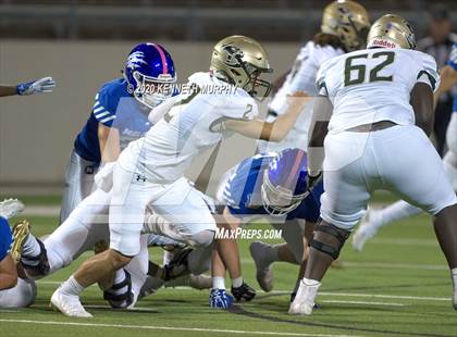 Thumbnail 3 in Birdville @ Midlothian photogallery.