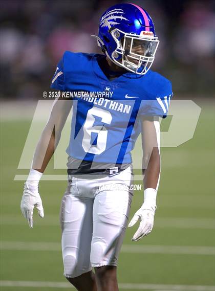 Thumbnail 1 in Birdville @ Midlothian photogallery.