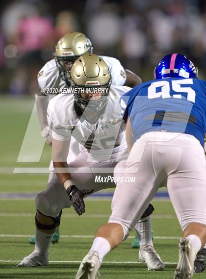 Thumbnail 2 in Birdville @ Midlothian photogallery.
