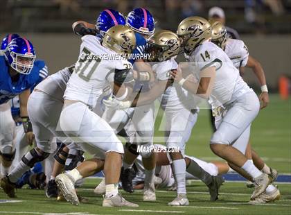 Thumbnail 2 in Birdville @ Midlothian photogallery.