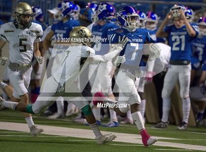 Thumbnail 2 in Birdville @ Midlothian photogallery.