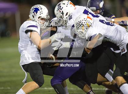 Thumbnail 1 in Sumner @ Puyallup photogallery.