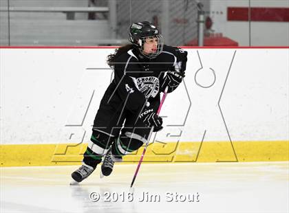 Thumbnail 3 in Eastchester/Tuckahoe/Bronxville @ Somers/North Salem photogallery.