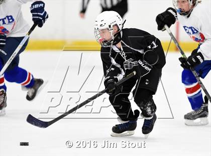 Thumbnail 3 in Eastchester/Tuckahoe/Bronxville @ Somers/North Salem photogallery.