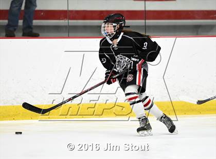 Thumbnail 2 in Eastchester/Tuckahoe/Bronxville @ Somers/North Salem photogallery.