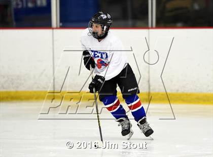 Thumbnail 3 in Eastchester/Tuckahoe/Bronxville @ Somers/North Salem photogallery.