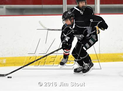 Thumbnail 3 in Eastchester/Tuckahoe/Bronxville @ Somers/North Salem photogallery.