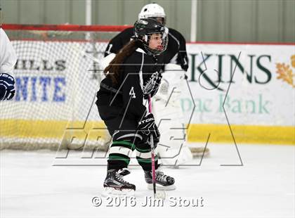 Thumbnail 2 in Eastchester/Tuckahoe/Bronxville @ Somers/North Salem photogallery.