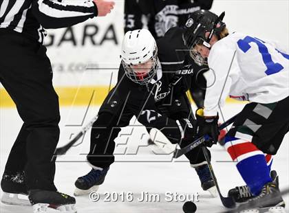 Thumbnail 3 in Eastchester/Tuckahoe/Bronxville @ Somers/North Salem photogallery.