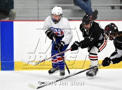 Thumbnail 3 in Eastchester/Tuckahoe/Bronxville @ Somers/North Salem photogallery.