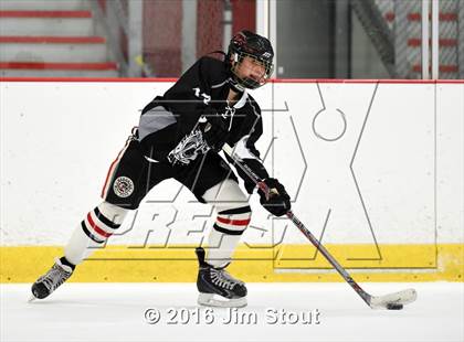 Thumbnail 3 in Eastchester/Tuckahoe/Bronxville @ Somers/North Salem photogallery.