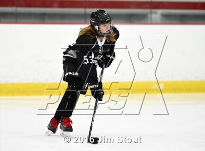 Thumbnail 3 in Eastchester/Tuckahoe/Bronxville @ Somers/North Salem photogallery.