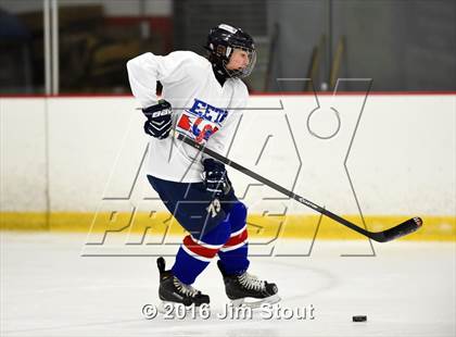 Thumbnail 2 in Eastchester/Tuckahoe/Bronxville @ Somers/North Salem photogallery.