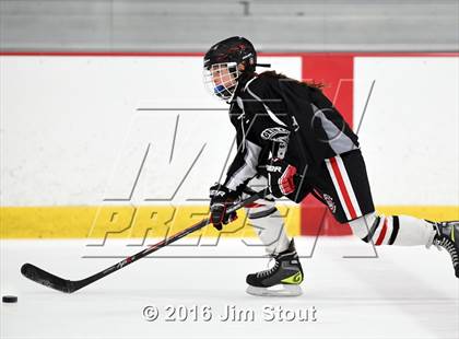 Thumbnail 3 in Eastchester/Tuckahoe/Bronxville @ Somers/North Salem photogallery.