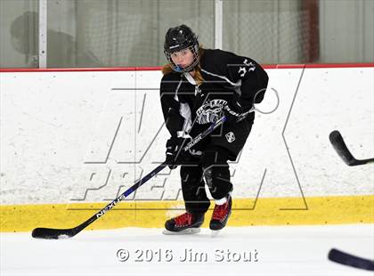 Thumbnail 2 in Eastchester/Tuckahoe/Bronxville @ Somers/North Salem photogallery.