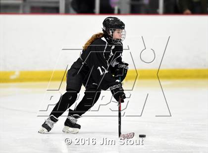 Thumbnail 2 in Eastchester/Tuckahoe/Bronxville @ Somers/North Salem photogallery.