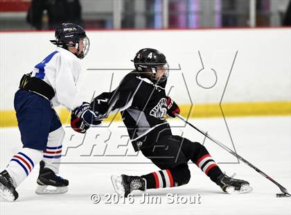 Thumbnail 1 in Eastchester/Tuckahoe/Bronxville @ Somers/North Salem photogallery.