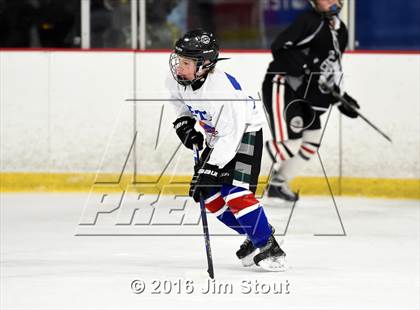 Thumbnail 2 in Eastchester/Tuckahoe/Bronxville @ Somers/North Salem photogallery.