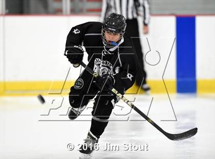 Thumbnail 2 in Eastchester/Tuckahoe/Bronxville @ Somers/North Salem photogallery.