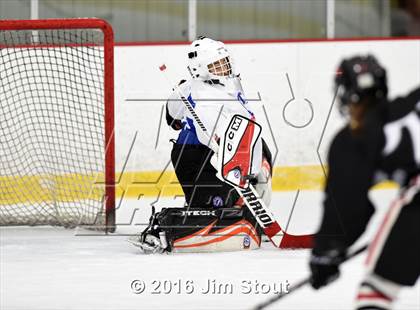 Thumbnail 3 in Eastchester/Tuckahoe/Bronxville @ Somers/North Salem photogallery.