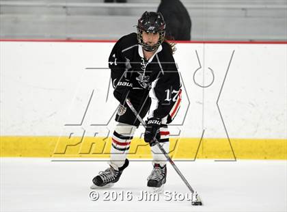 Thumbnail 3 in Eastchester/Tuckahoe/Bronxville @ Somers/North Salem photogallery.