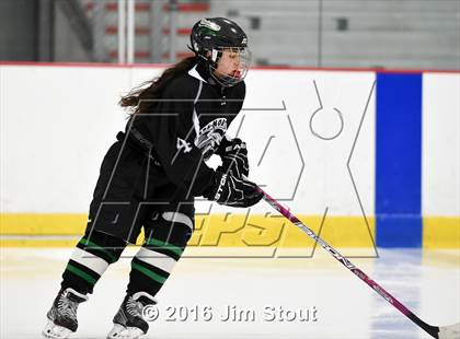 Thumbnail 2 in Eastchester/Tuckahoe/Bronxville @ Somers/North Salem photogallery.